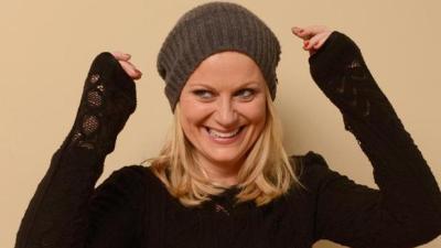Amy Poehler And Will Arnett Are Divorcing