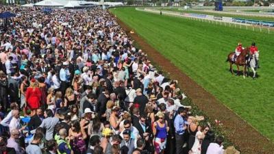 5 Horses That Can Win You The Melbourne Cup