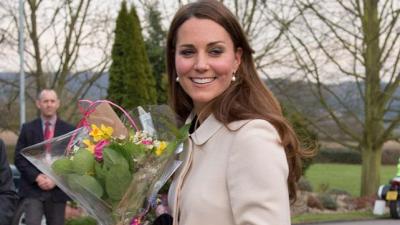 Kate Middleton’s Nose In High Demand With Plastic Surgeons