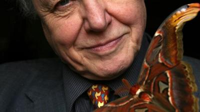 Happy 87th Birthday Sir David Attenborough