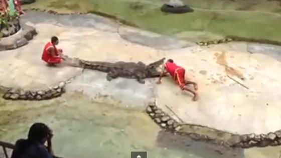 Video: Man Chomped By Crocodile After Sticking Head In Its Jaws