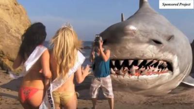 From Jaws to Sharknado, Film History’s Most Notorious Sharks