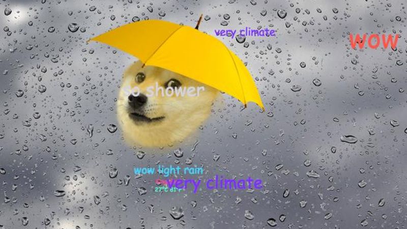 wow. such doge weather. many drake weather inspire.