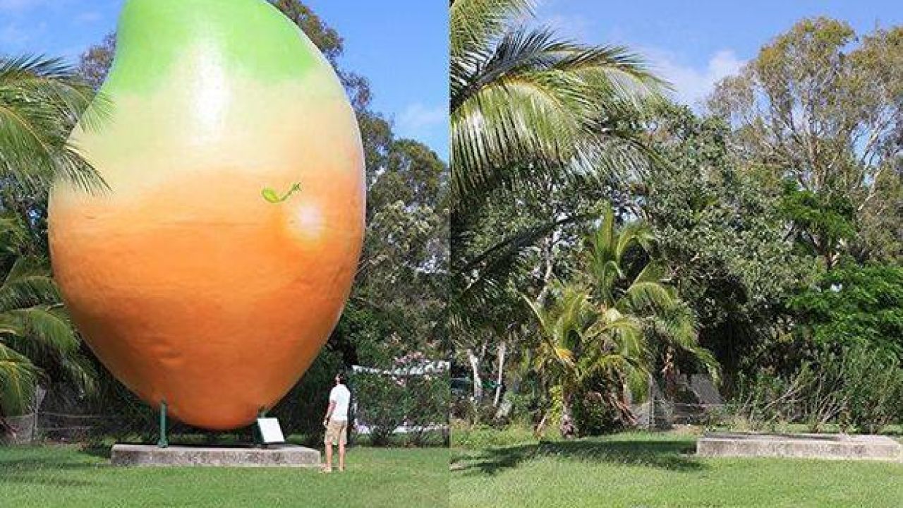 Big Fibreglass Mango Stolen From Rightful Home In Bowen, QLD