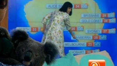 Katy Perry Does The Weather Forecast On Sunrise Because, Star Power!