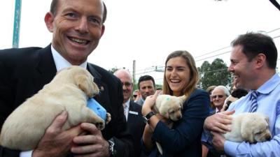 Prime Minister Abbott In Severe Hot Water Over ‘Scholarship’ Awarded To Daughter