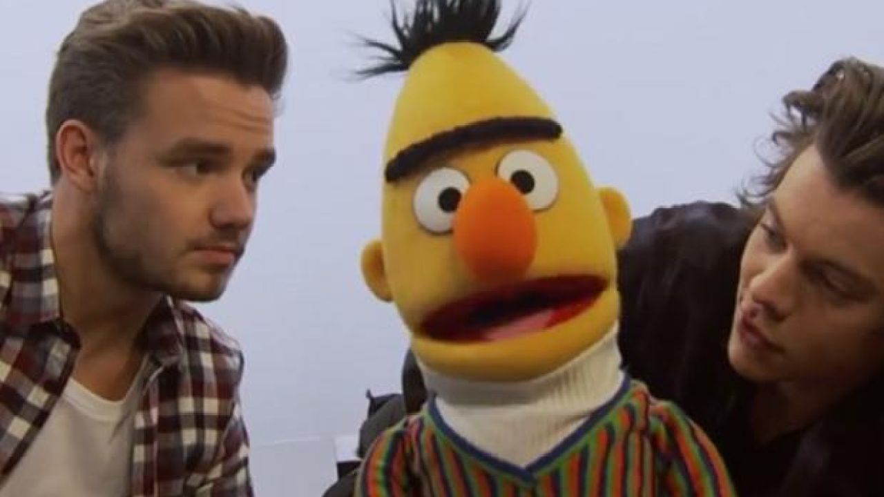 Watch One Direction Adorably Teach Bert The Alphabet on ‘Sesame Street’