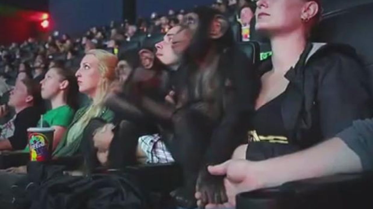 TWO CHIMPS WENT TO WATCH ‘DAWN OF THE PLANET OF THE APES’