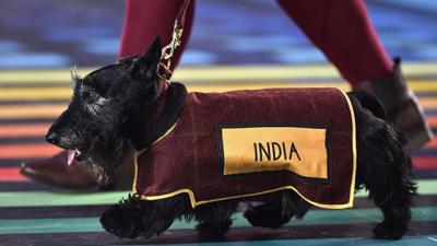 The Best Thing About The Commonwealth Games So Far? Dogs