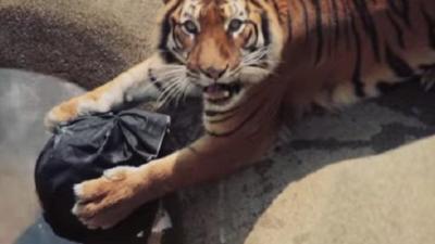 Your New Favourite Jeans Come Pre-Shredded by Japanese Zoo Animals