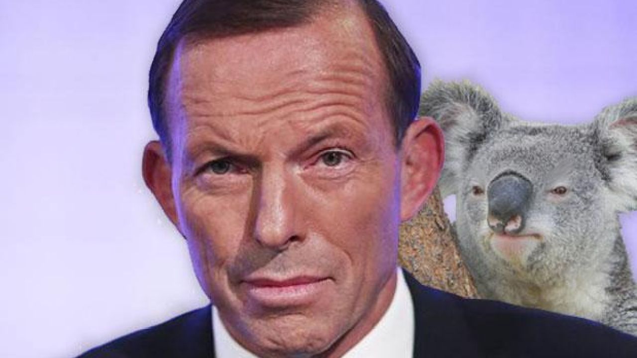 Prime Minister Tony Abbott Considered Trustworthy By 35% Of Aussies