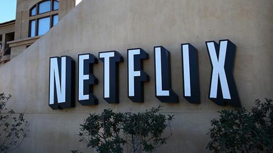 Netflix Is Planning To Cut Sick On Pirates By Hiring Someone To Pursue Them