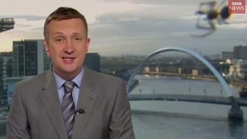 Regular Newscast Captures Giant Spider Descending On Glasgow