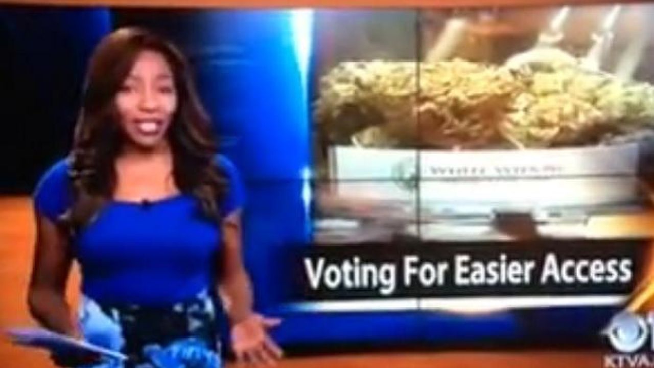 Watch This Cannabis-Loving Reporter Quit Her Job Live On Air