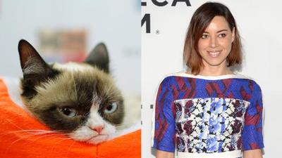 In Perfect Casting News, Aubrey Plaza Is Now The Voice Of Grumpy Cat