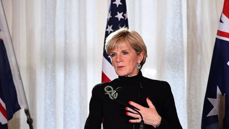 Julie Bishop Is The Most Popular Member Of The Abbott Government