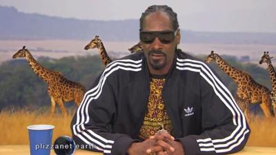 Snoop Dogg Narrating A Fight Between A Polar Bear And A Walrus Is The Bizzest