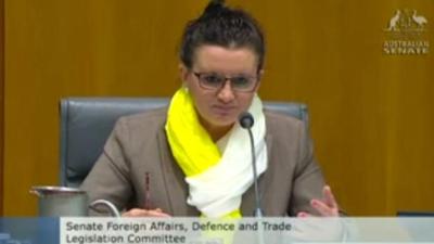 Jacqui Lambie Is A Bit Worried About Ebola-Infected Suicide Soldiers