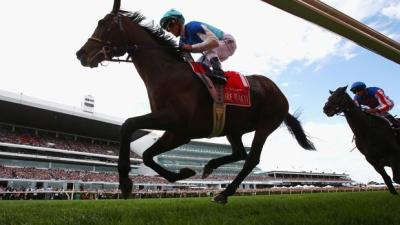 Autopsy Determines Melbourne Cup Horse Admire Rakti’s Cause Of Death