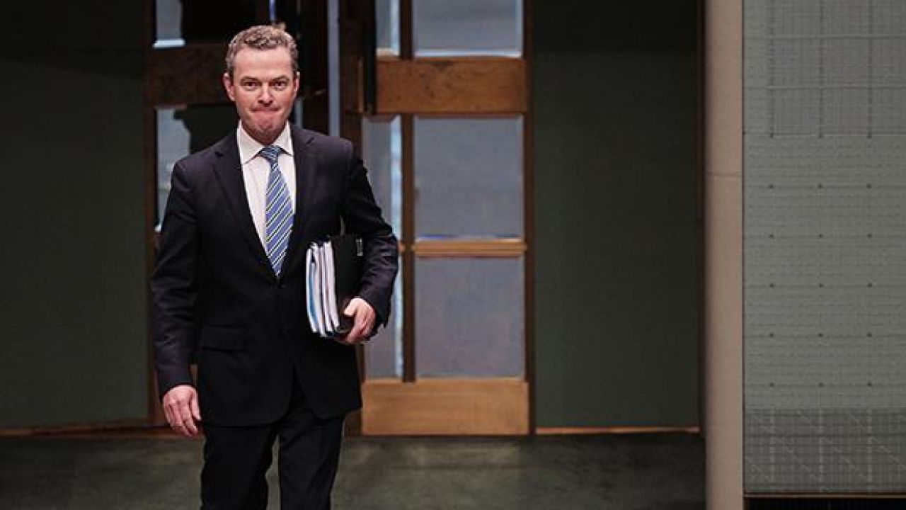Christopher Pyne Set Up A Petition To Keep The ABC From Downsizing