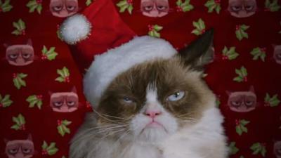 Aubrey Plaza Deadpans Grumpy Cat’s First Christmas Movie Trailer