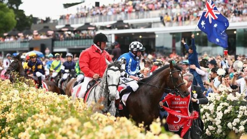Flags Banned at Spring Racing Carnival Following Araldo’s Death