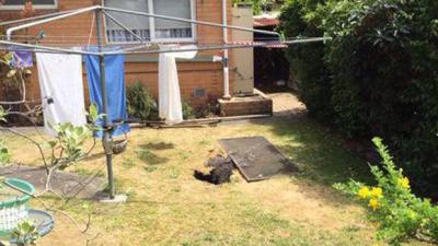Vengeful Mother Earth Attempts To Devour Melbourne Woman In 3 Metre Sinkhole