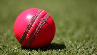 Cricket Umpire Killed After Being Struck by Ball