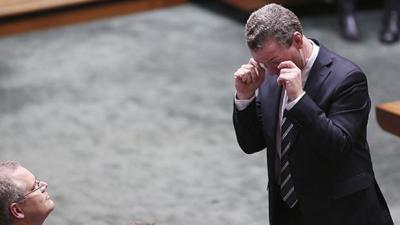 Christopher Pyne Has Been Bombarding Senators With Text Messages