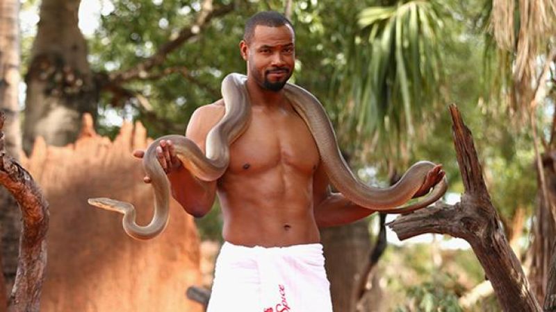 Olive Python Eats Entire Wallaby In Northern Territory