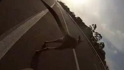Watch GoPro Footage Of A Cyclist Getting Taken Out By A Roo