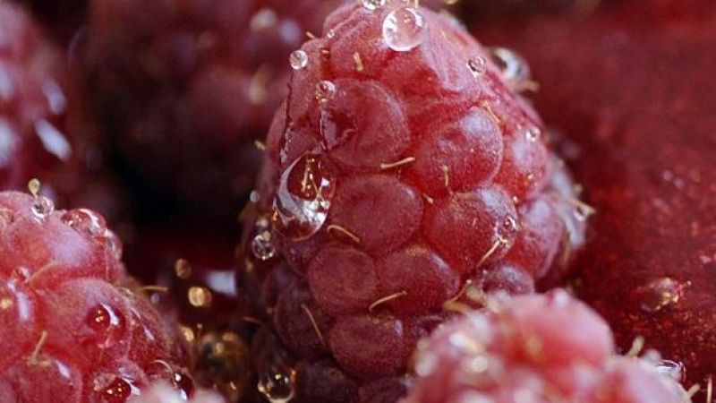Frozen Raspberries Have Been Added To The Berry Recall List