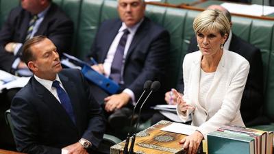 Julie Bishop Admitted Roles For Gillian Triggs Were Discussed