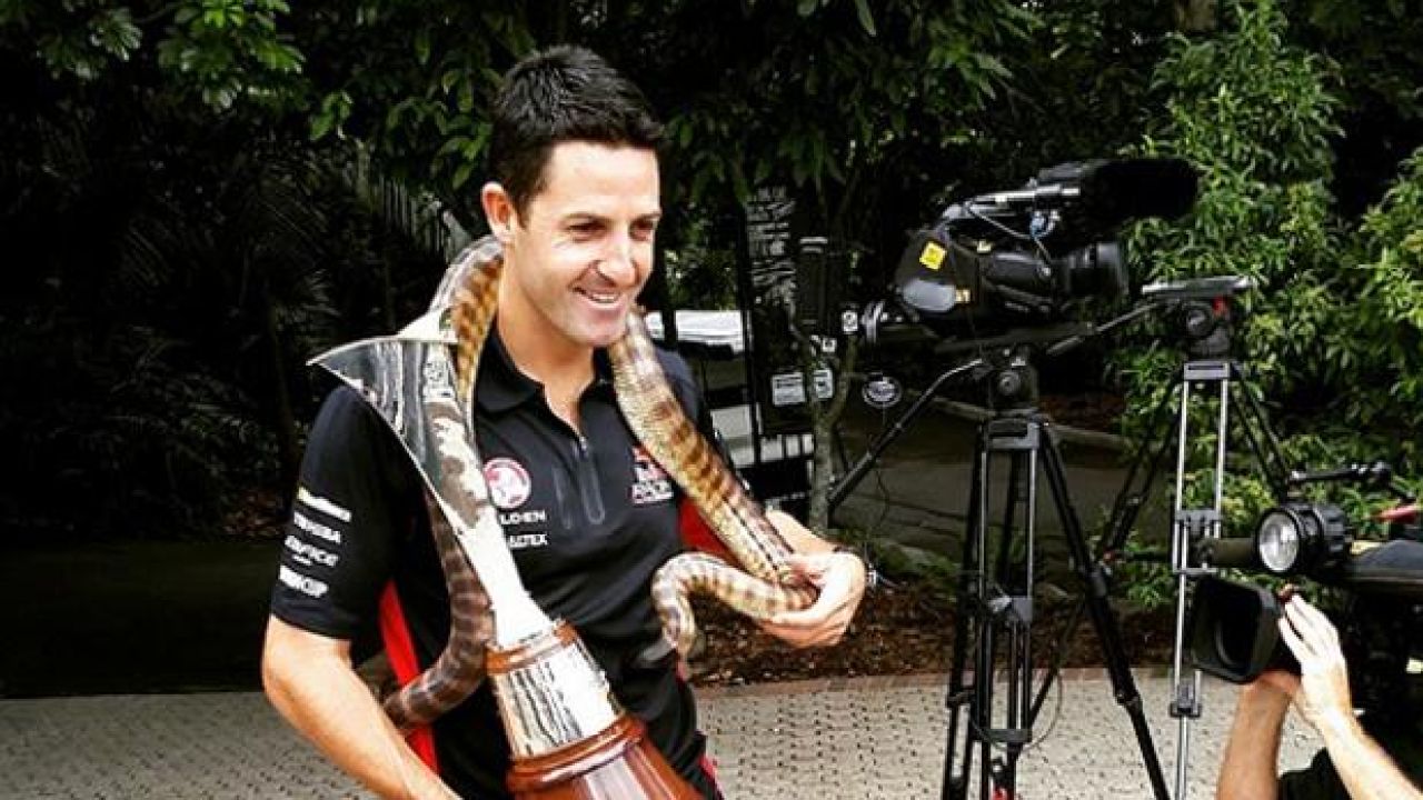 Snake Bites V8 Champion Jamie Whincup, Because That’s What Snakes Do