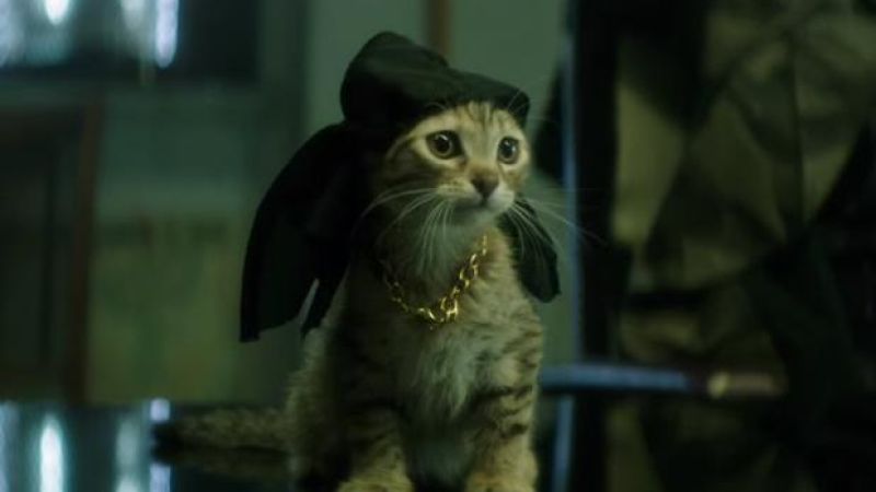 WATCH: Key & Peele’s Kitty Gets Catnapped In The A+ New Trailer For ‘Keanu’