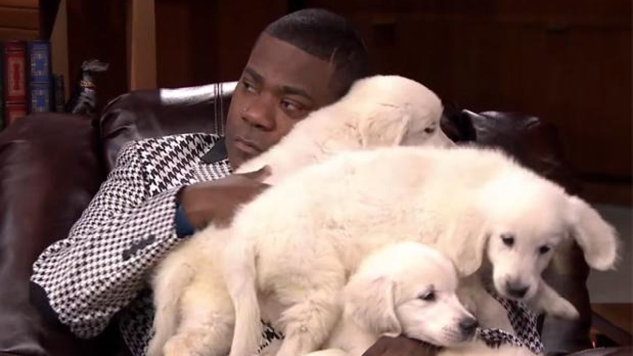 WATCH: Tracy Morgan Goes To Puppy Heaven For ‘Pup Quiz’ On Fallon