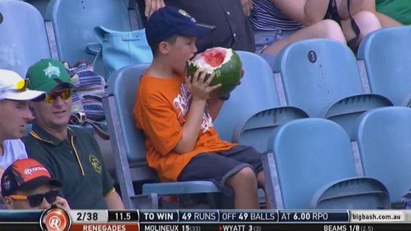 Watermelon Boy Takes Cricket’s Big Bash League And The Nation By Storm