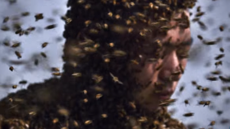 Dude’s Bee-Wearing World Record Vid Is Horrifying, A Lil’ Impressive