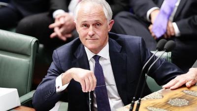 New Poll Shows A Whopping 80% Of Voters Keen On Turnbull Over Shorten