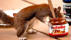 BUY NEW PANTS: ‘Straya Gets Festival Devoted To Foodstuff/Lifeblood Nutella