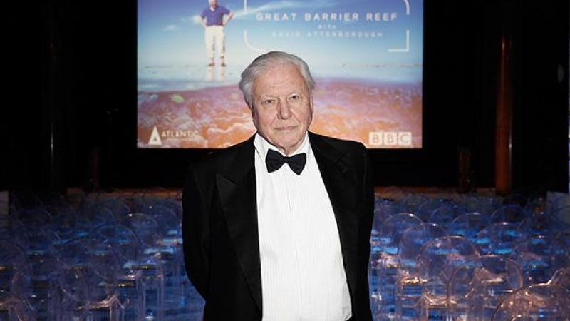 David Attenborough To Sooth Savage Beasts For New Series Of ‘Planet Earth’