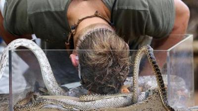 Shane Warne Got Bit On The Head By An Anaconda & What Fresh Hell Is This