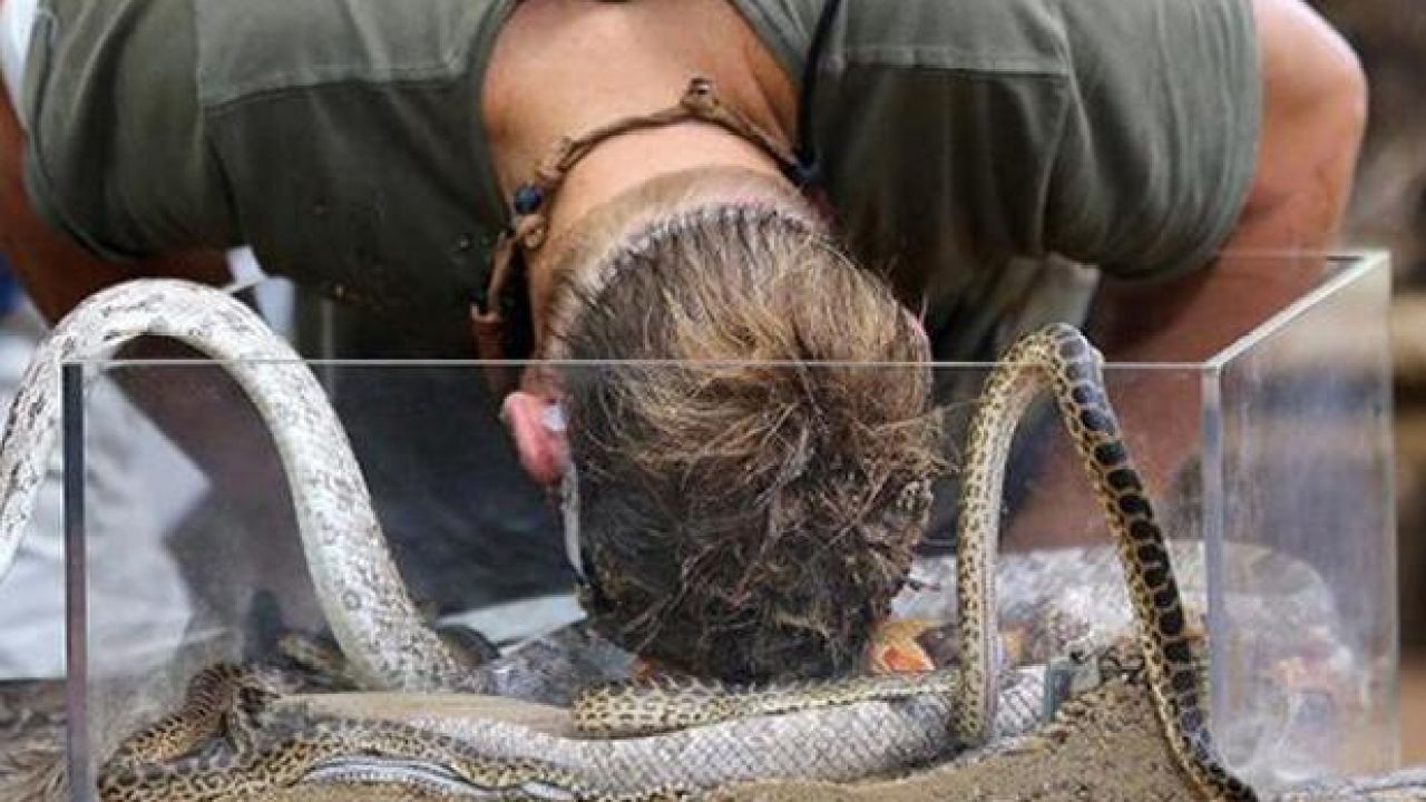 Shane Warne Got Bit On The Head By An Anaconda & What Fresh Hell Is This