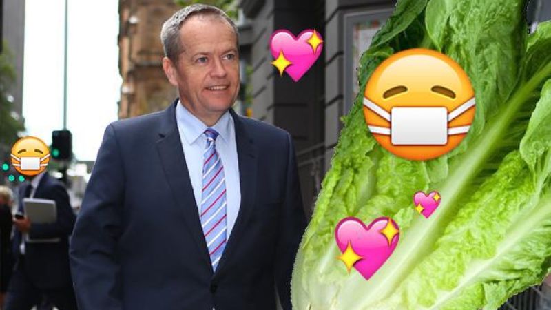 There’s Been A Lettuce Recall & We Wanna Know, What You Do Bill Shorten?