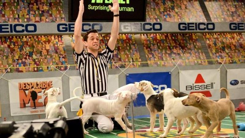 PSA: You Can Still Draft A Dream Dog Squad For Tomorrow’s Puppy Bowl