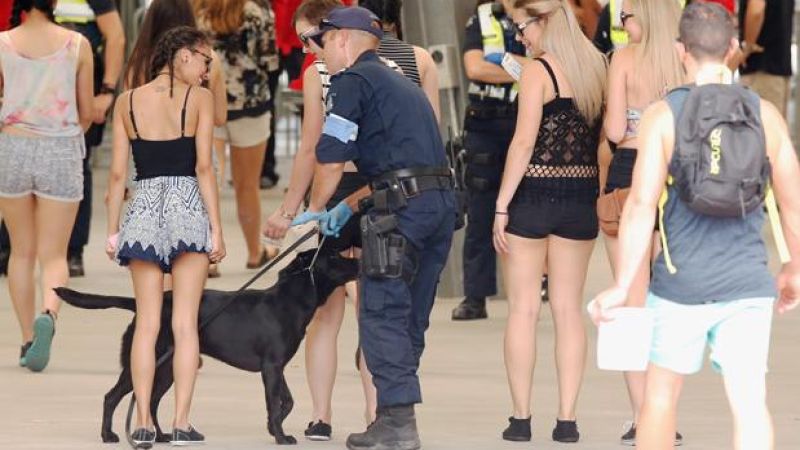 NSW Labor MP Hijacks Debate To Slam Use Of Sniffer Dogs At Festivals