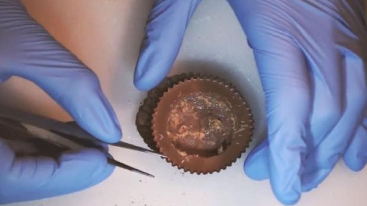 WATCH: ‘Food Surgeon’ Performs Transplants On Oreos Etc, Makes Us Squirm