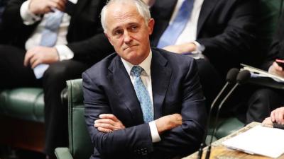 Who’s Your Daddy? Turnbull Hits Negative Approval Rating For 1st Time