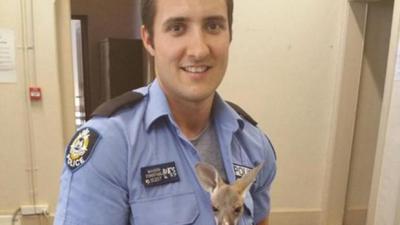 Handsome Cop Saves Joey, Melts Hearts, Potentially Crashes The Internet