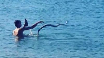 QLD’s Swimming Snake Bloke Being Investigated By Police, May Lose His M8